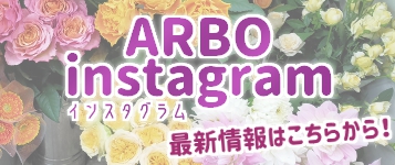 ARBOCX^O@ŐV͂炩I